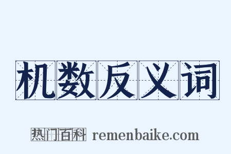 机数反义词是什么意思的图片